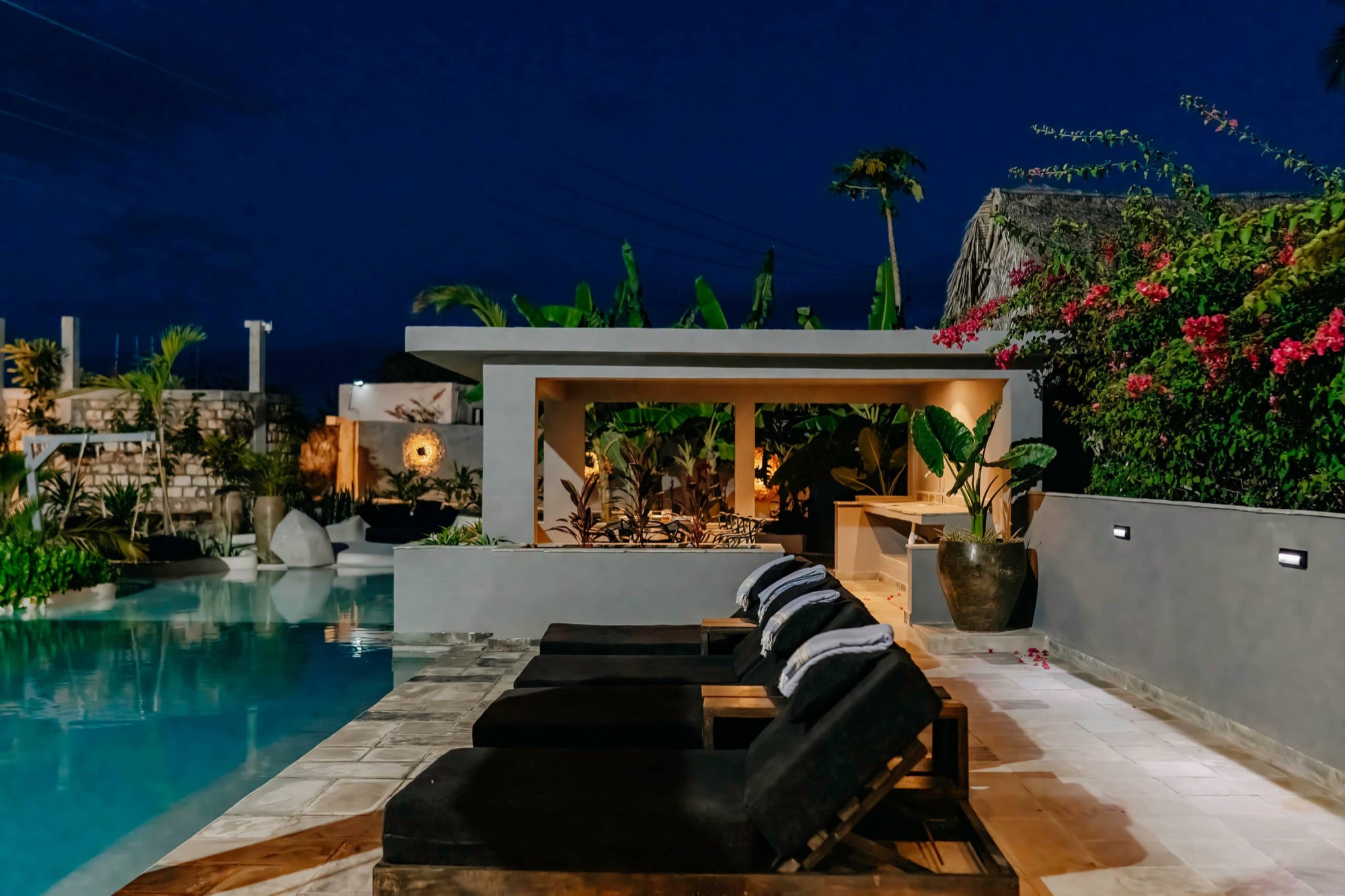 The pool and tropical garden